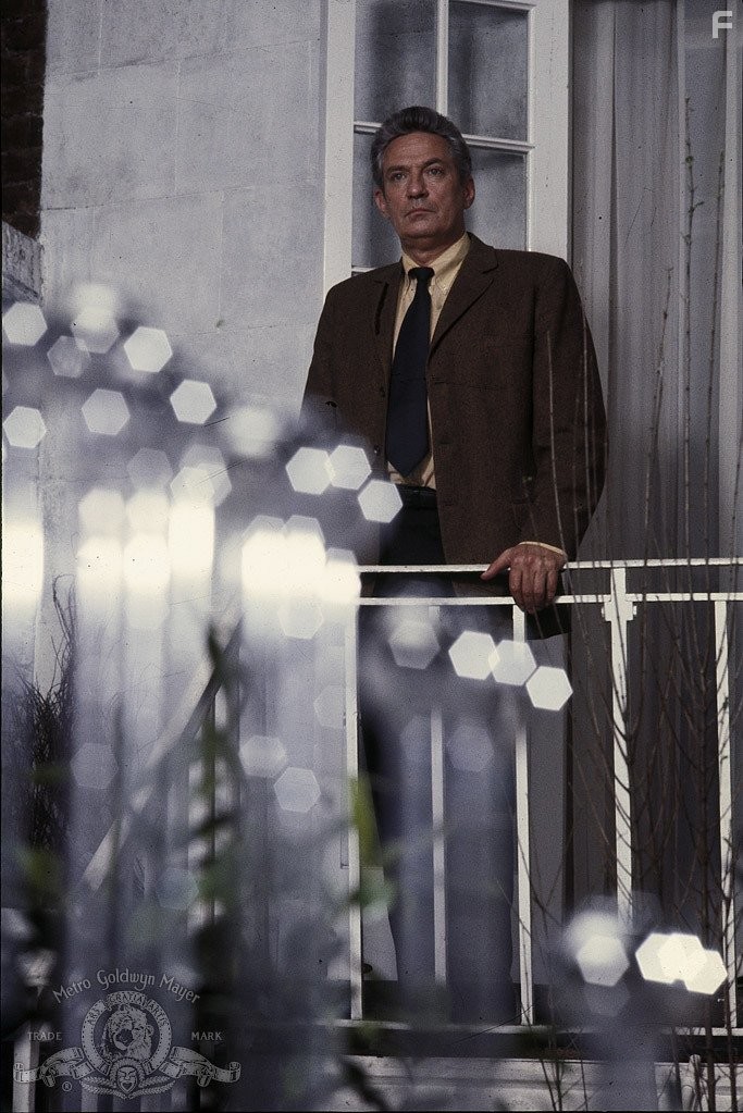 Peter Finch in Воскресенье, проклятое воскресенье (1971)