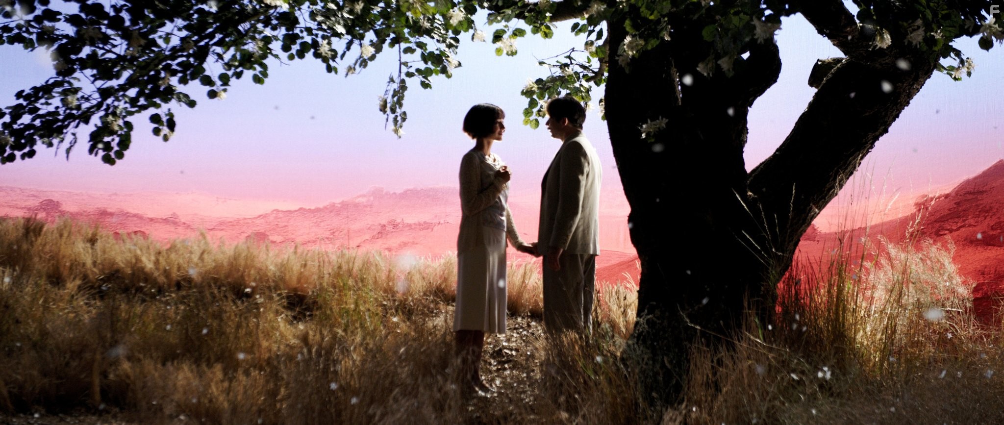 Mathieu Amalric and Golshifteh Farahani in Цыпленок с черносливом (2011)