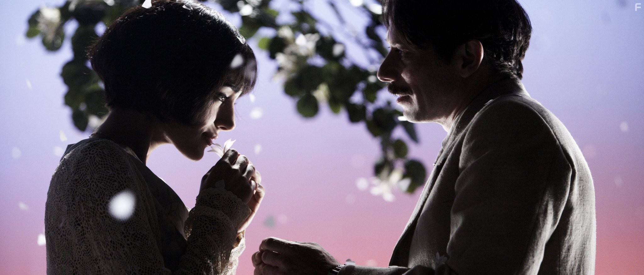 Mathieu Amalric and Golshifteh Farahani in Цыпленок с черносливом (2011)