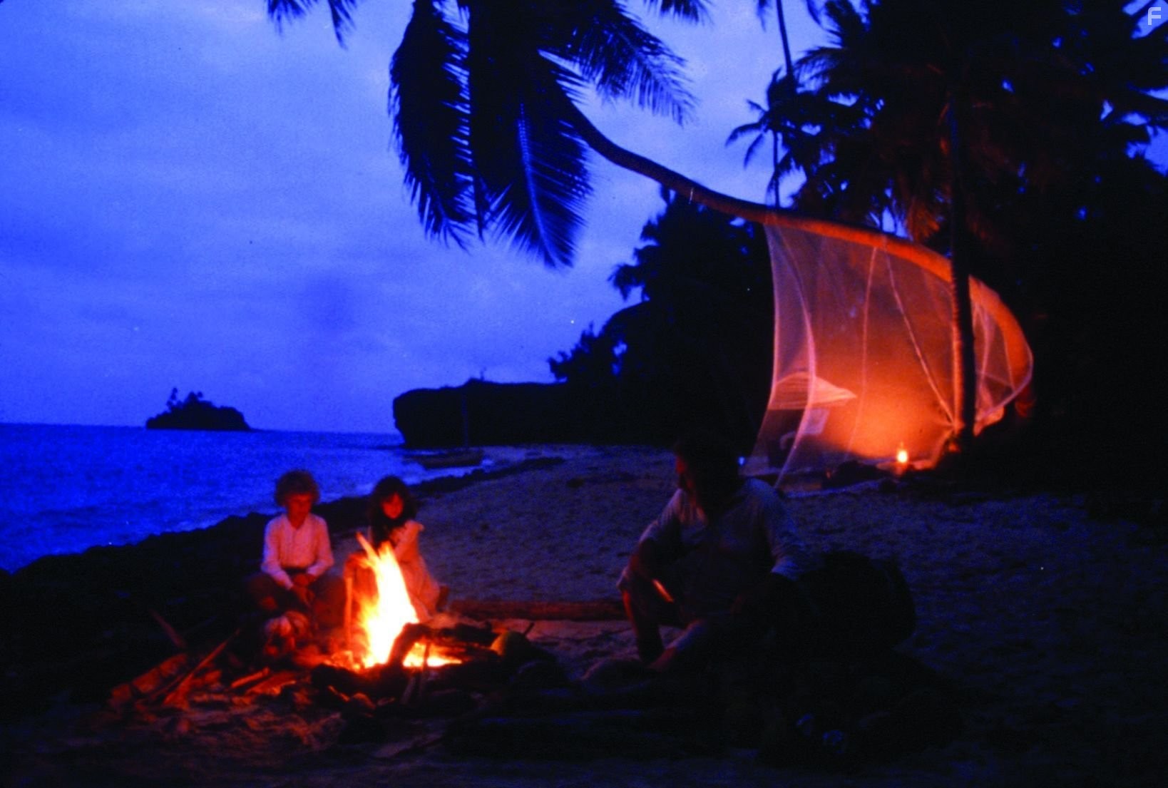 Brooke Shields and Christopher Atkins in Голубая лагуна (1980)