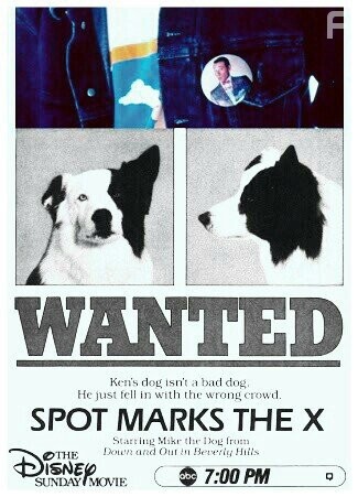Spot Marks the X (1986)