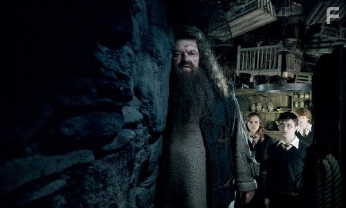 Robbie Coltrane, Rupert Grint, Daniel Radcliffe, and Emma Watson in Гарри Поттер и орден Феникса (2007)