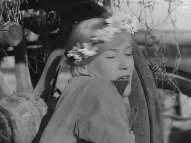 Волга-Волга #8