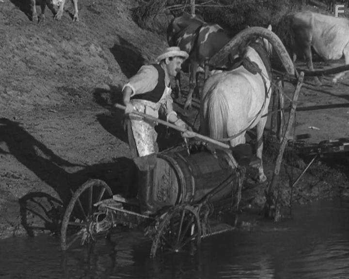 Волга-Волга #21