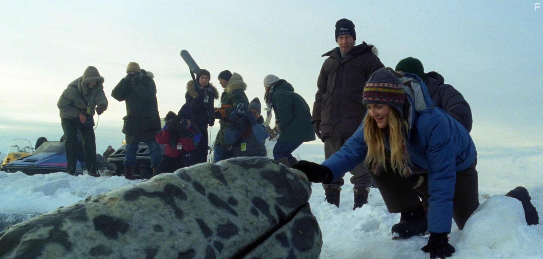 Drew Barrymore and Tim Blake Nelson in Все любят китов (2012)