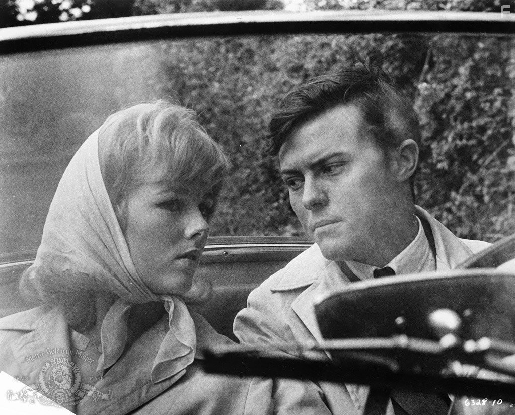 Luana Anders in Безумие 13 (1963)