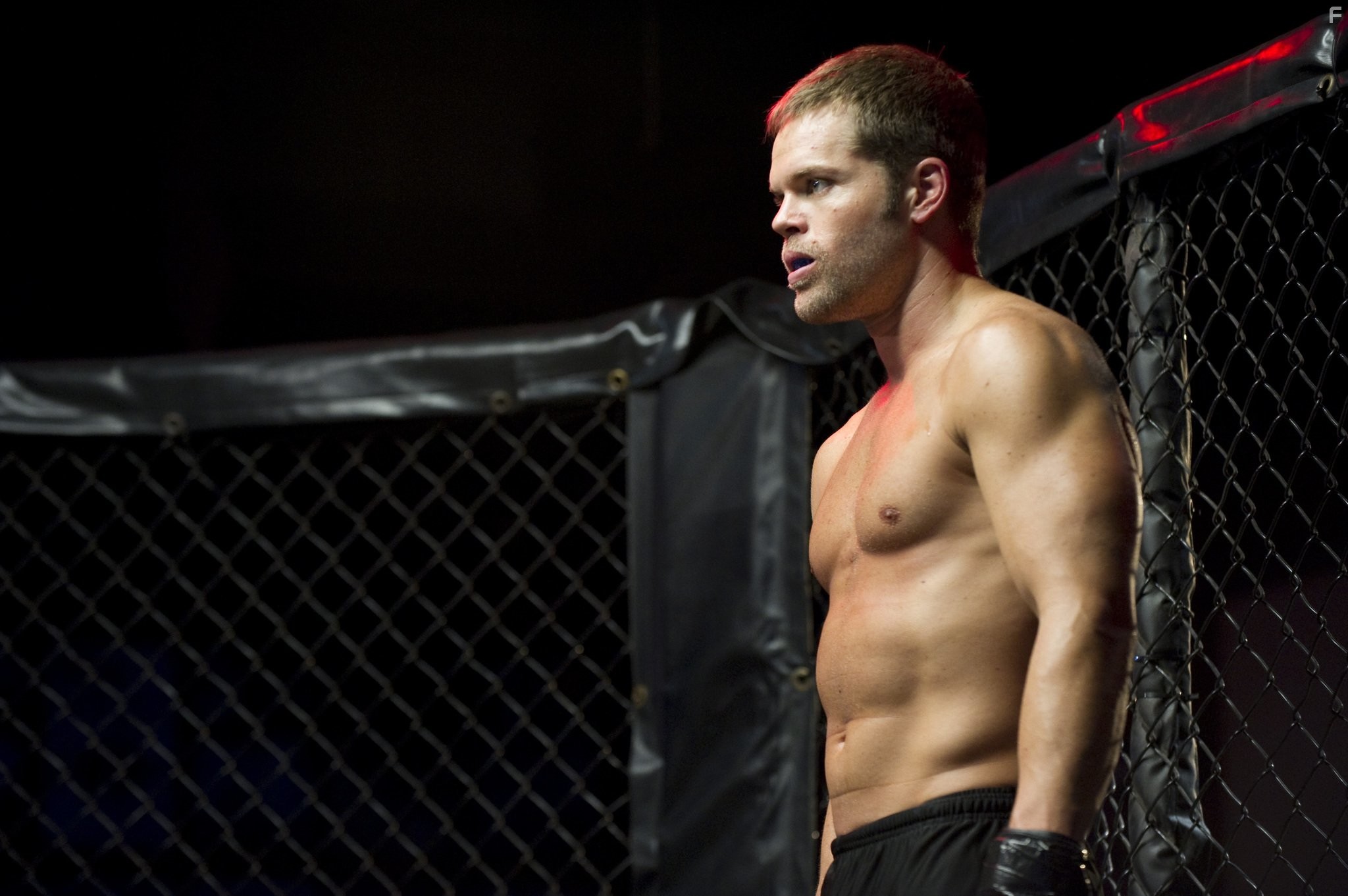 Wes Chatham in Боксер (2012)