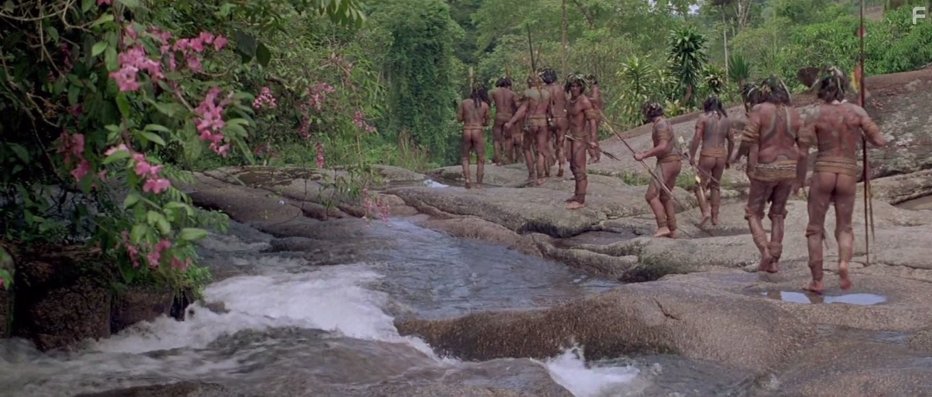 Изумрудный лес (1985)