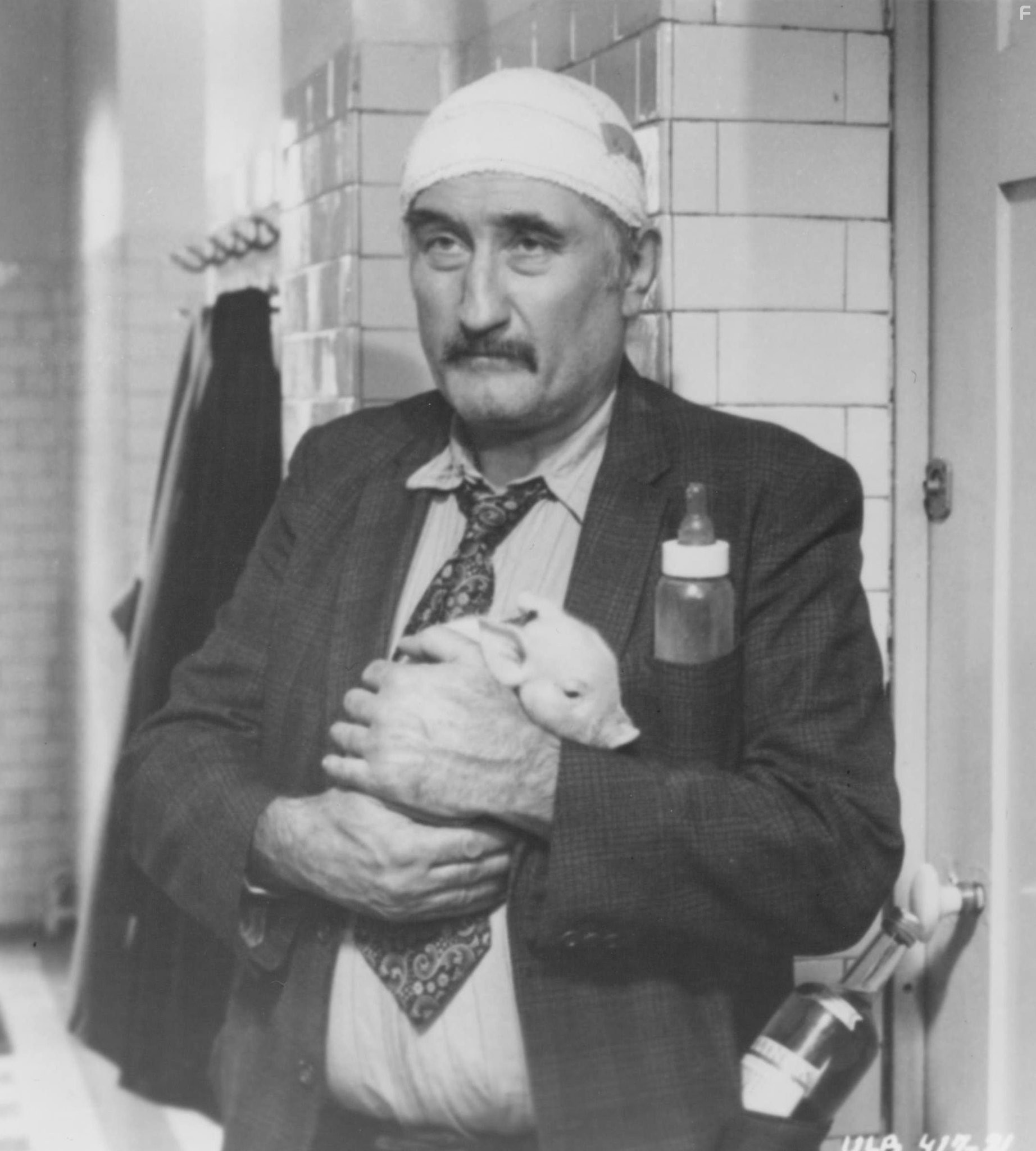 Невыносимая лёгкость бытия (1988)