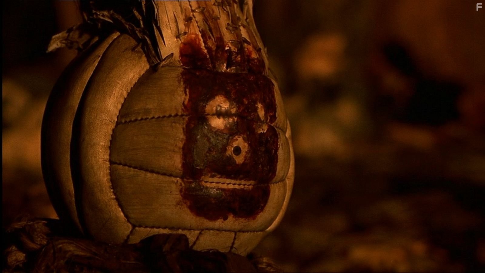 Wilson the Volleyball in Изгой (2000)