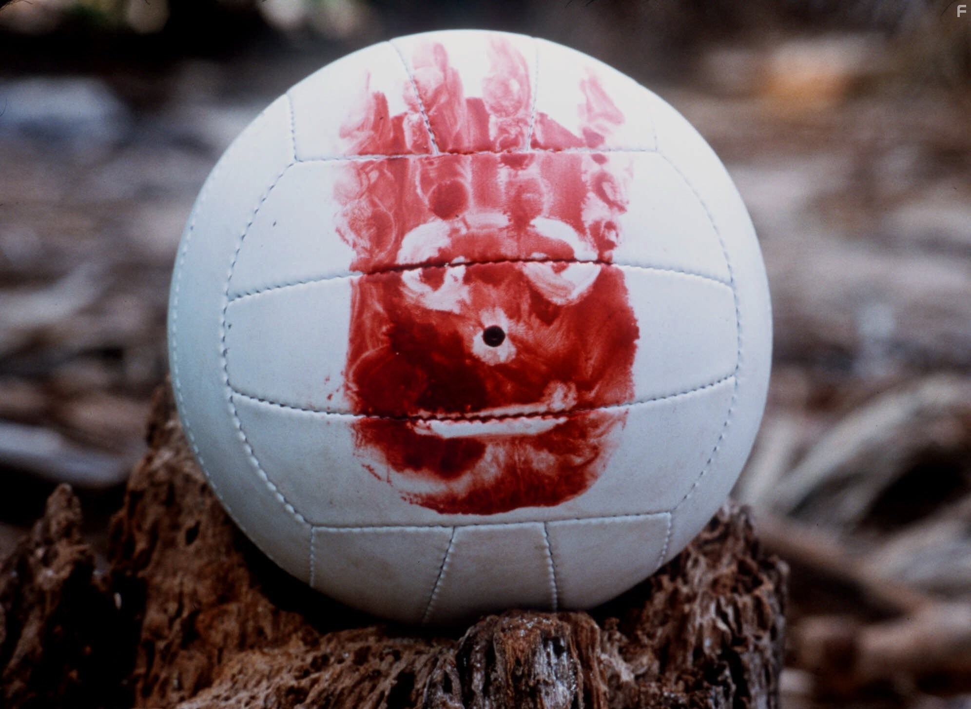 Wilson the Volleyball in Изгой (2000)