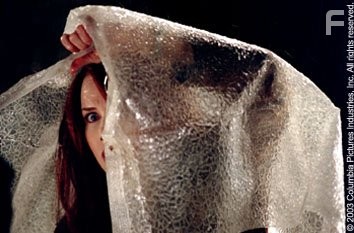 Rebecca De Mornay in Идентификация (2003)