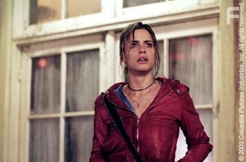 Amanda Peet in Идентификация (2003)