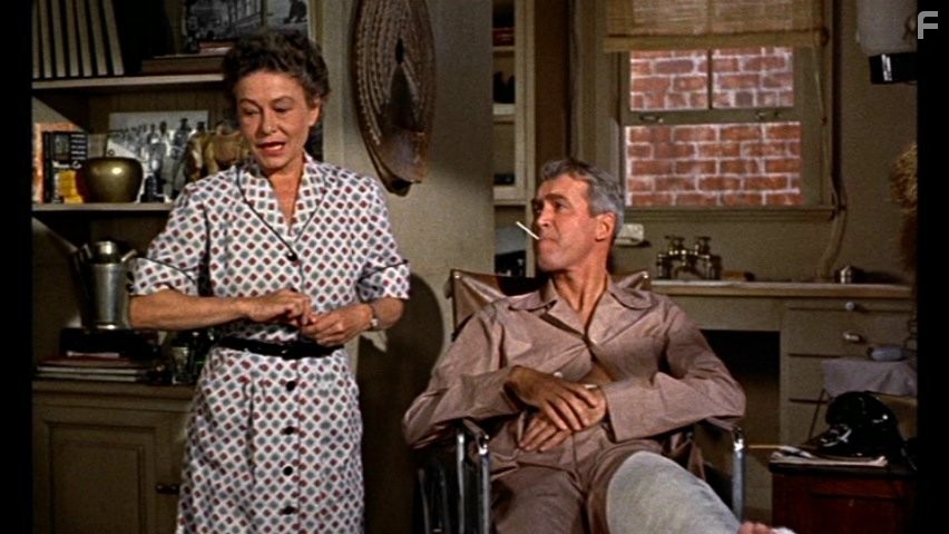 Окно во двор (1954)