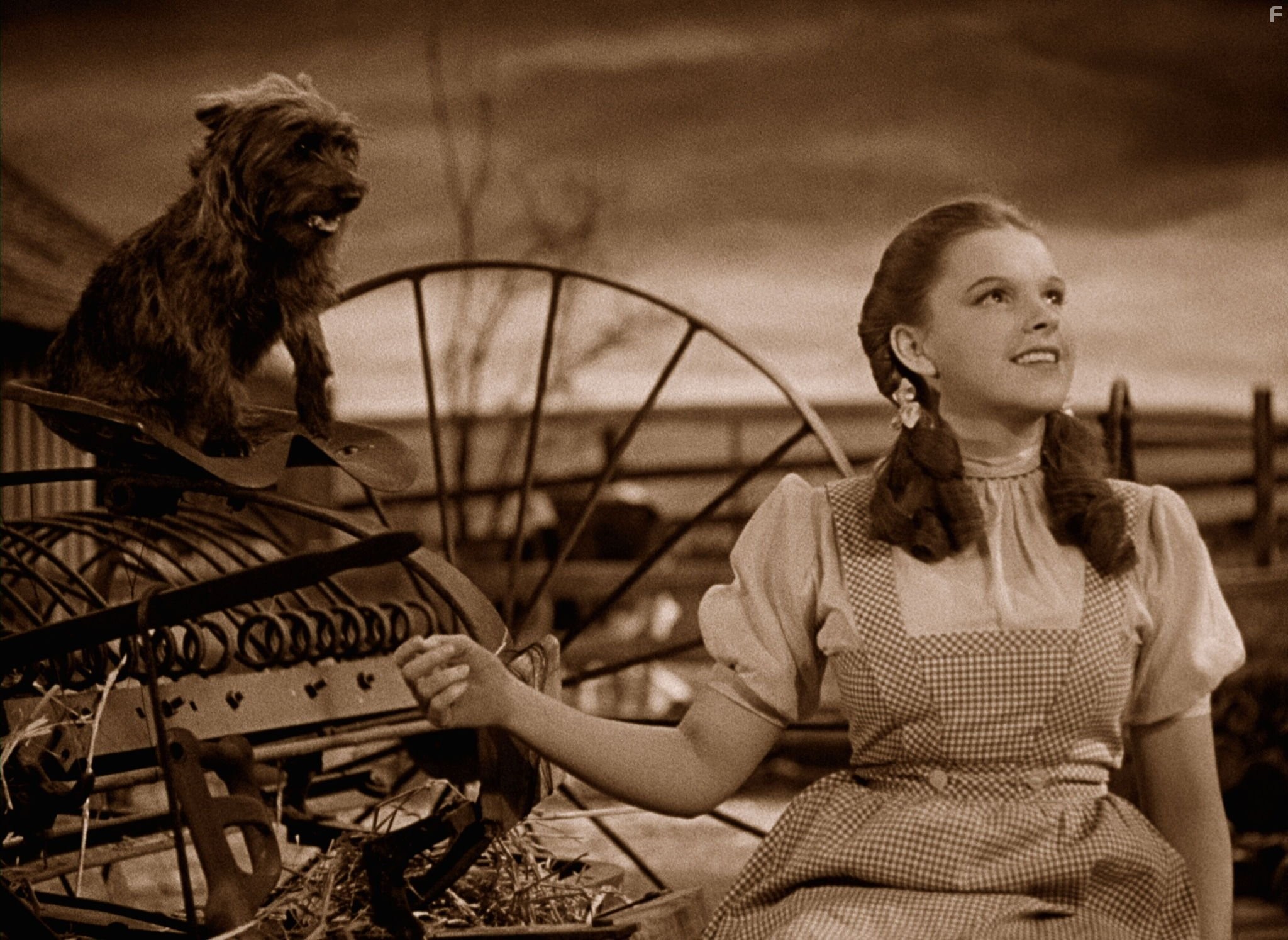 Judy Garland and Terry in Волшебник страны Оз (1939)