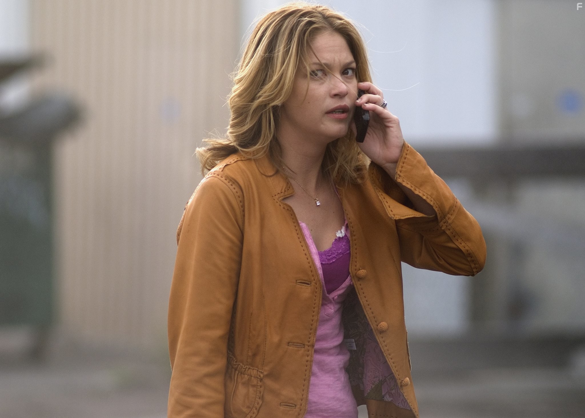 Ничего себе поездочка 2 (2008)