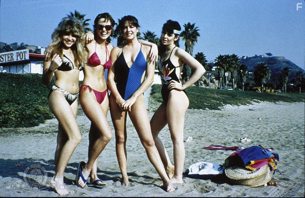 Michelle Meyrink, Elizabeth Daily, Deborah Foreman, and Heidi Holicker in Девушка из долины (1983)