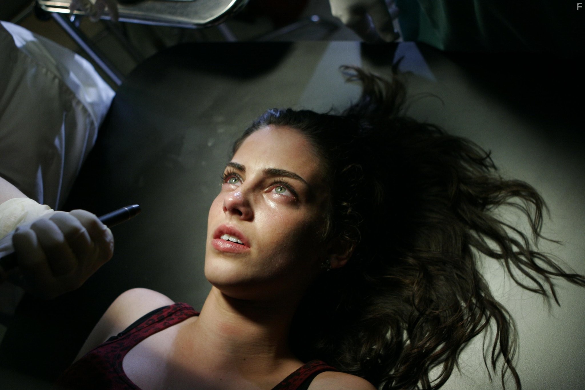 Jessica Lowndes in Вскрытие (2008)