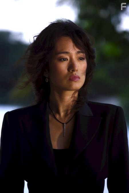 Li Gong in Полиция Майами. Отдел нравов (2006)