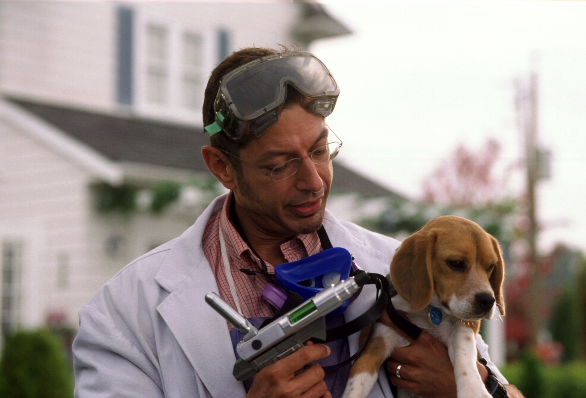 Jeff Goldblum in Кошки против собак (2001)