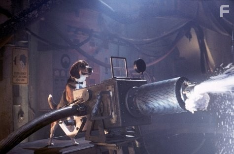 Кошки против собак (2001)