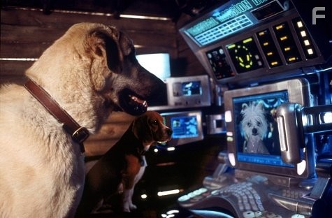 Кошки против собак (2001)