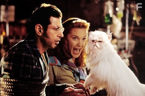 Jeff Goldblum and Elizabeth Perkins in Кошки против собак (2001)