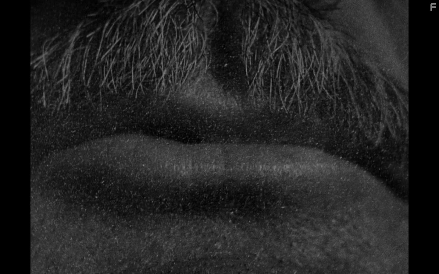 Гражданин Кейн (1941)