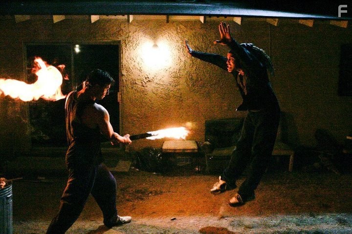 When the Cobra Strikes (2012)