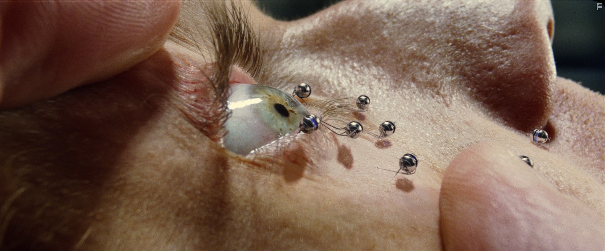 Ewan McGregor in Остров (2005)