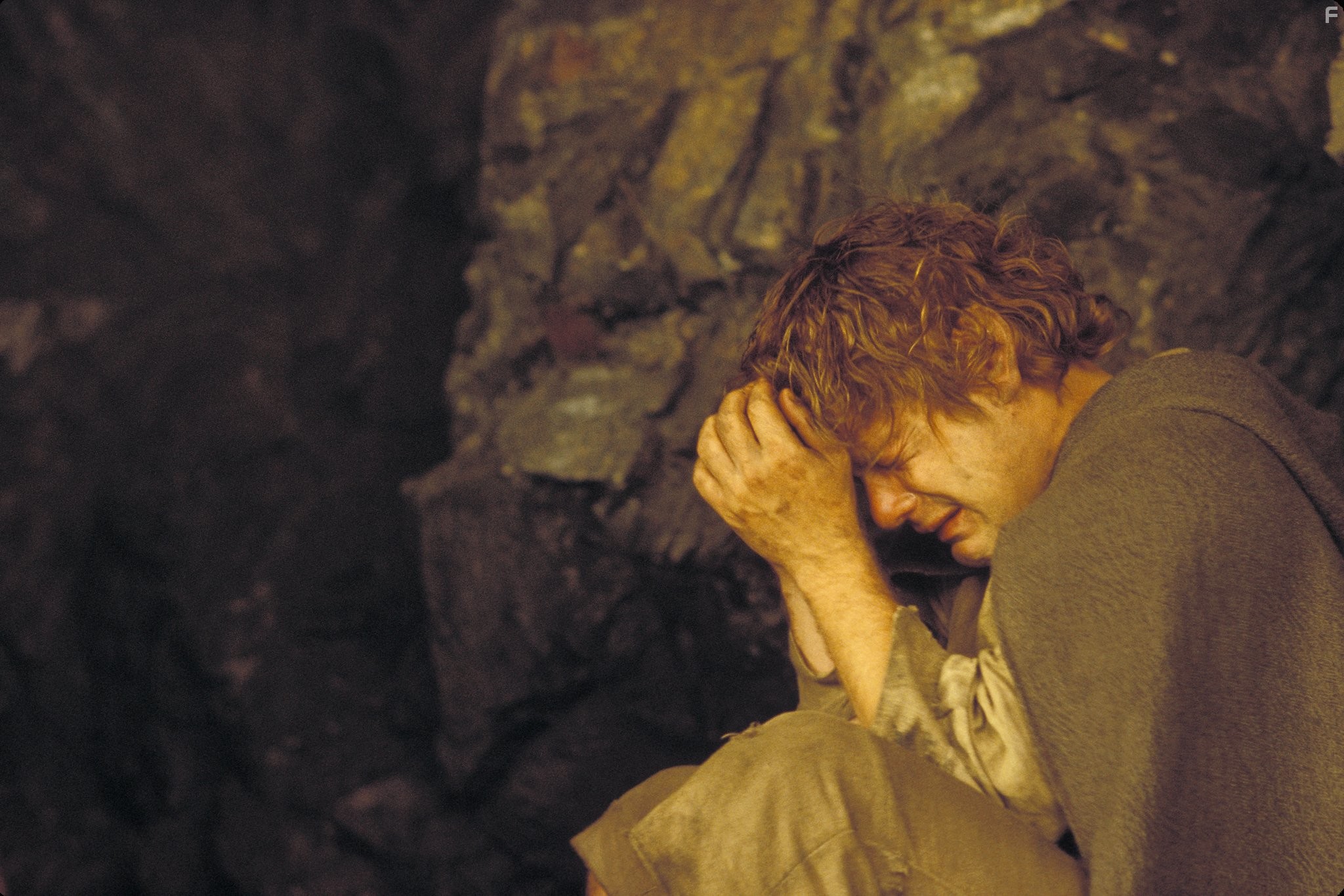 Sean Astin in Властелин колец: Возвращение короля (2003)