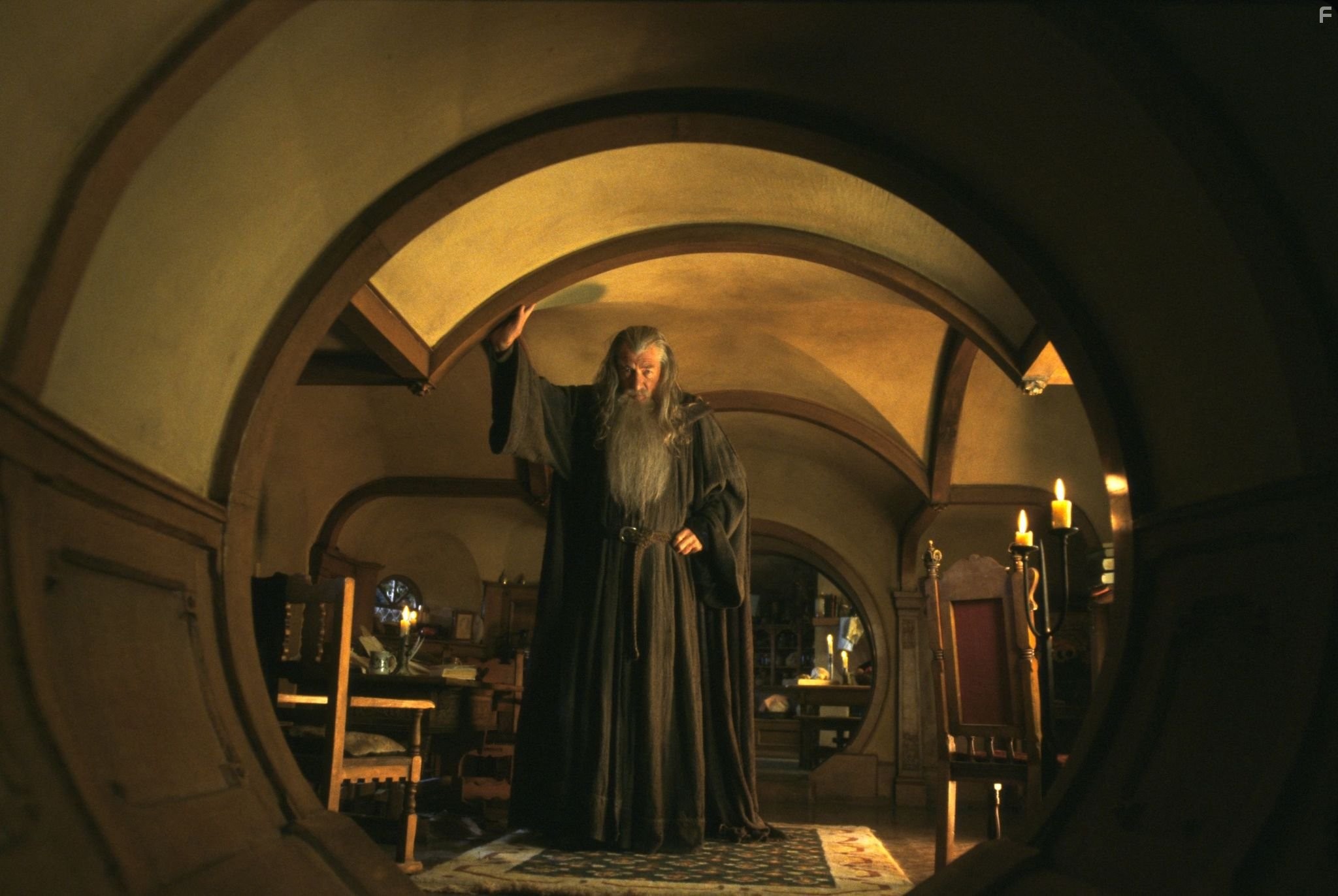 Ian McKellen in Властелин колец: Братство кольца (2001)