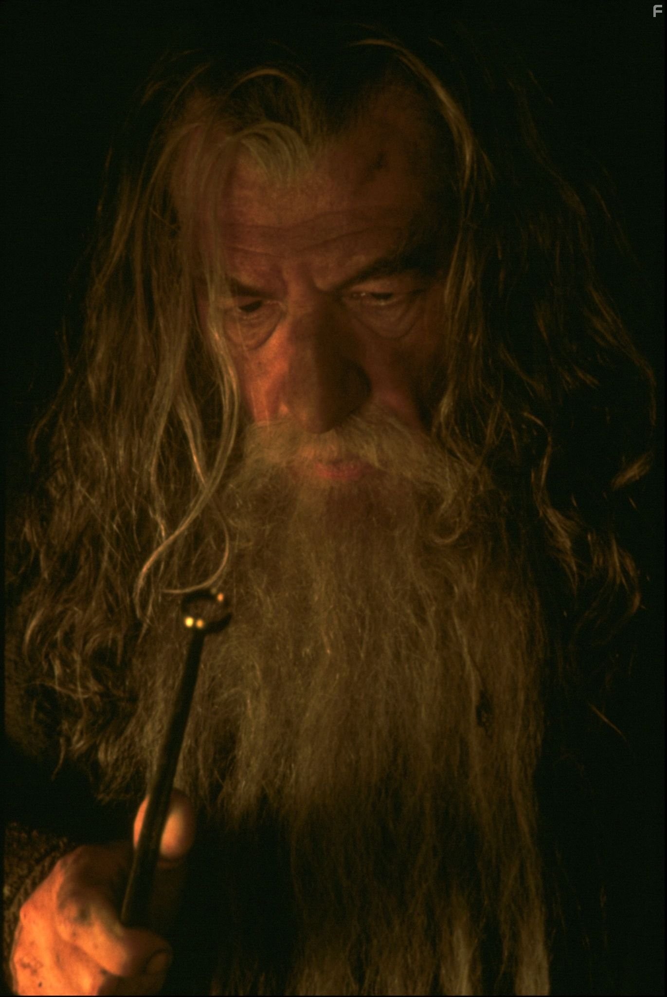 Ian McKellen in Властелин колец: Братство кольца (2001)