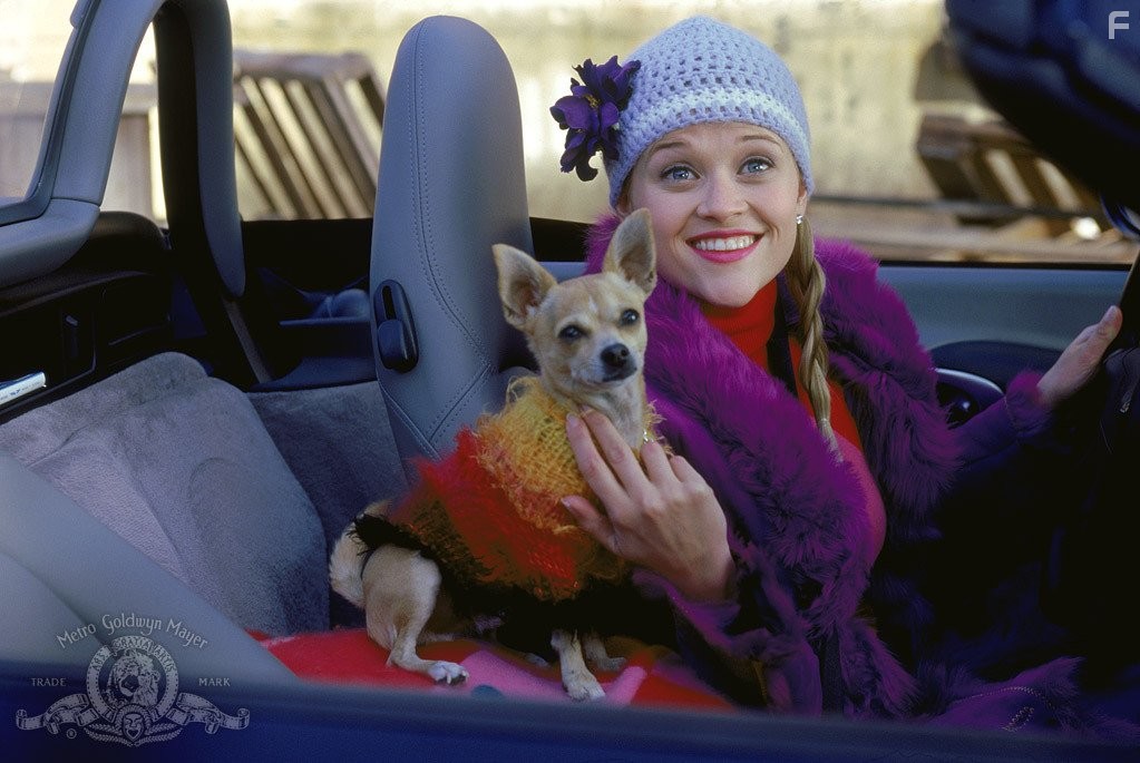 Reese Witherspoon in Блондинка в законе (2001)