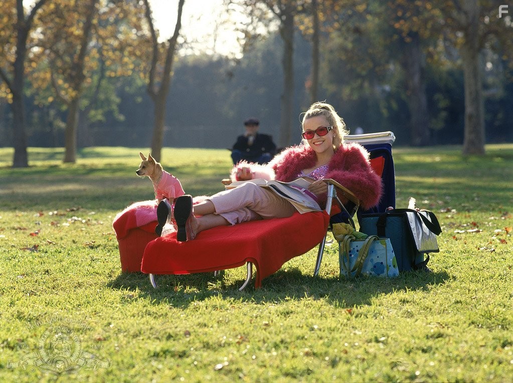 Reese Witherspoon in Блондинка в законе (2001)