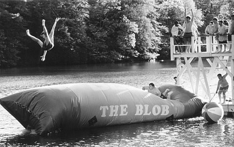 Толстопузы (1995)