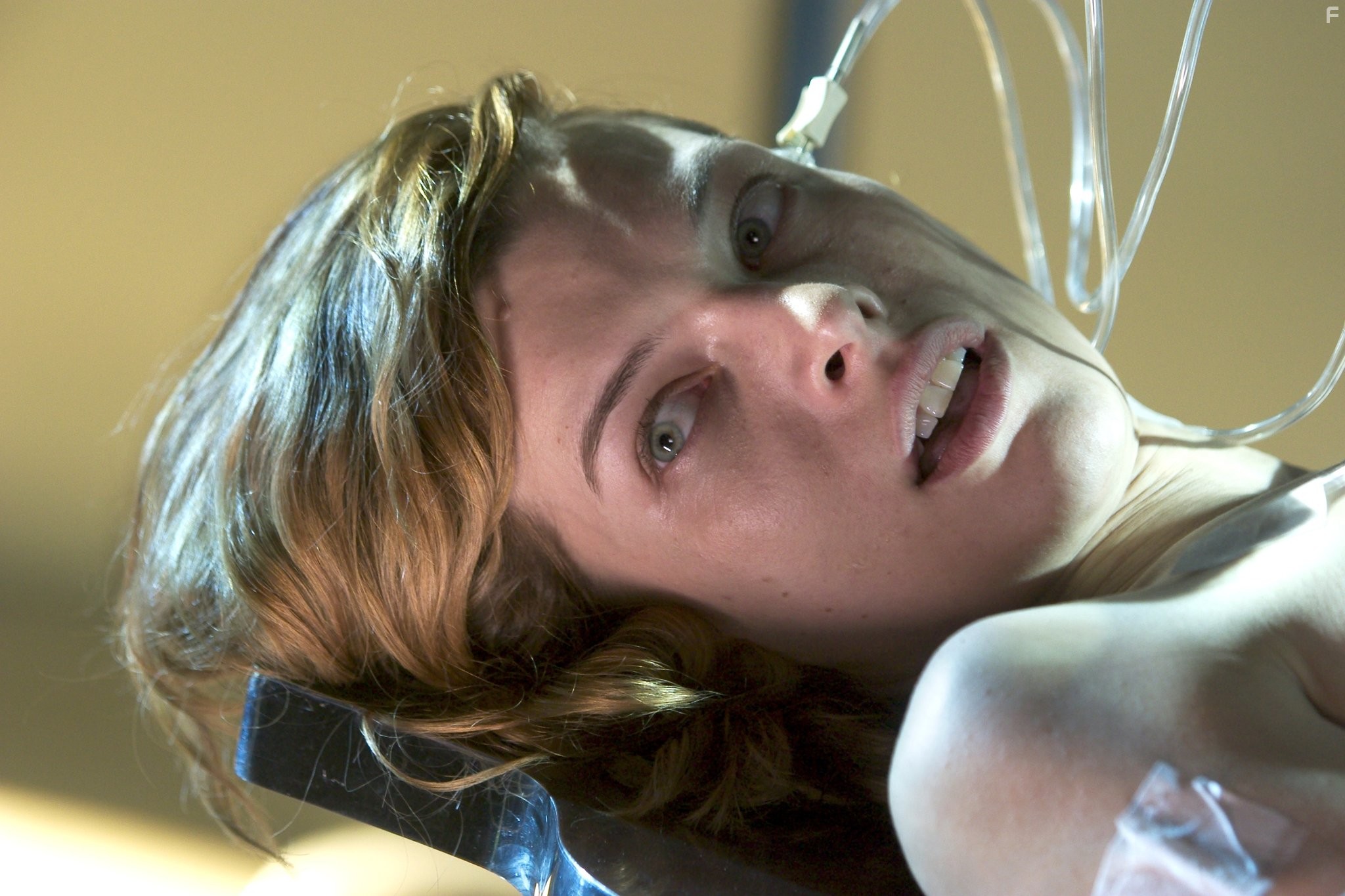 Milla Jovovich in Обитель зла 2: Апокалипсис (2004)