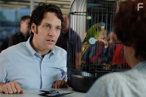Paul Rudd in Невеста с того света (2008)