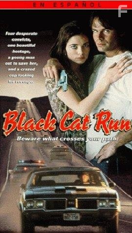 Black Cat Run (1998)