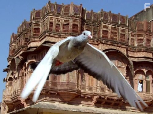 Earthflight: Asia and Australia (2012)