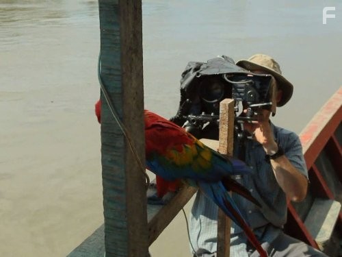 Earthflight: Flying High (2012)