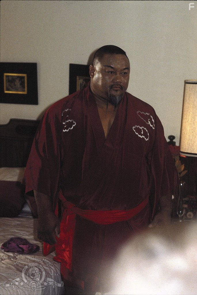 Professor Toru Tanaka in Месть ниндзя (1983)