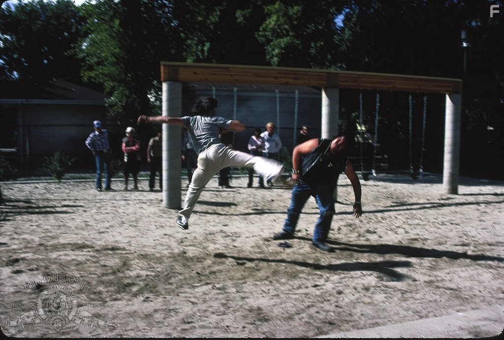 Месть ниндзя (1983)