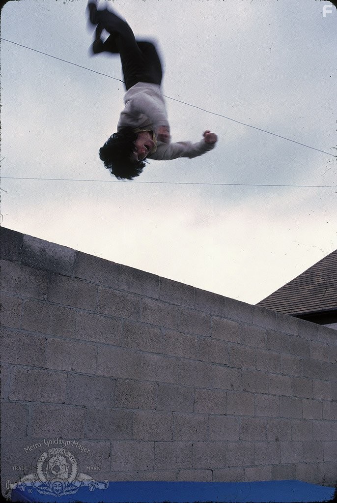 Месть ниндзя (1983)