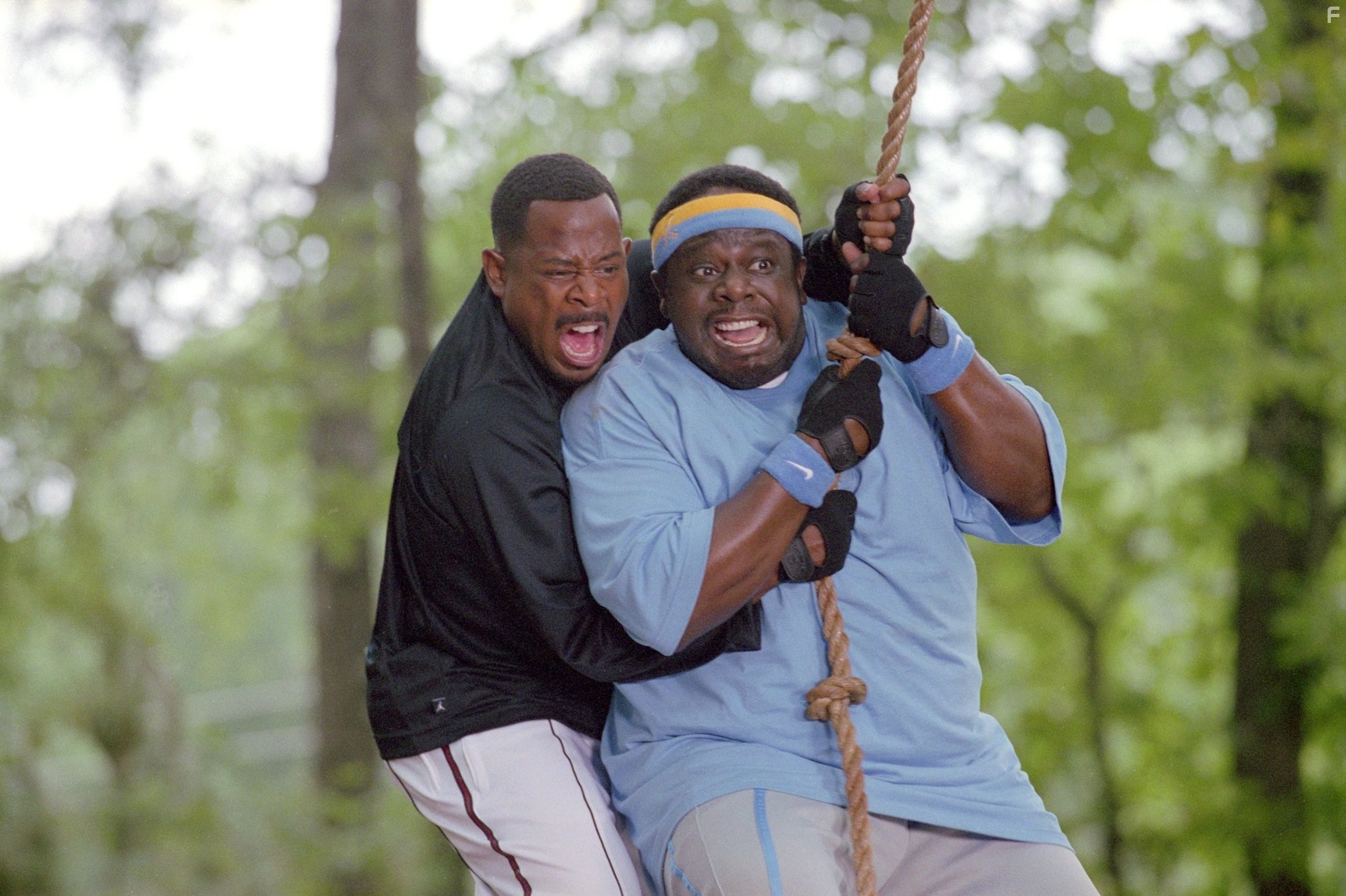 Martin Lawrence and Cedric the Entertainer in Добро пожаловать домой, Роско Дженкинс (2008)