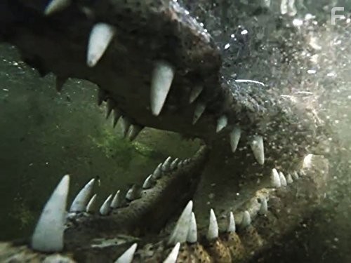 Airplane Repo (2010)