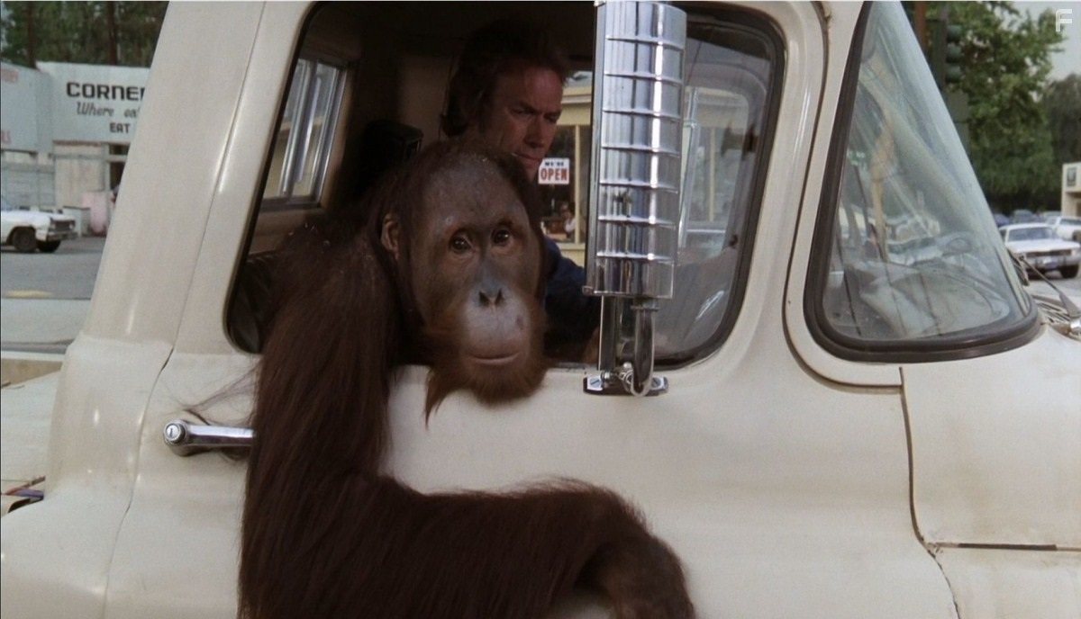 Как ни крути - проиграешь (1978)