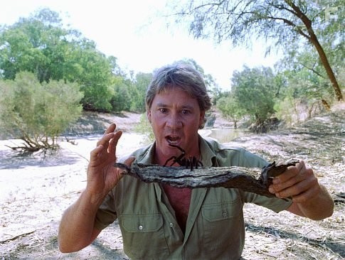 Steve Irwin in Охотник на крокодилов: Схватка (2002)