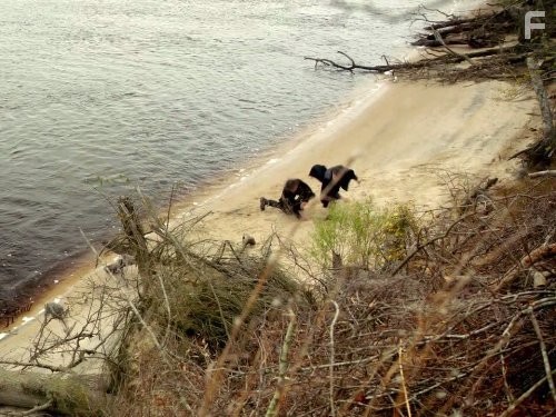 Революция (2012)