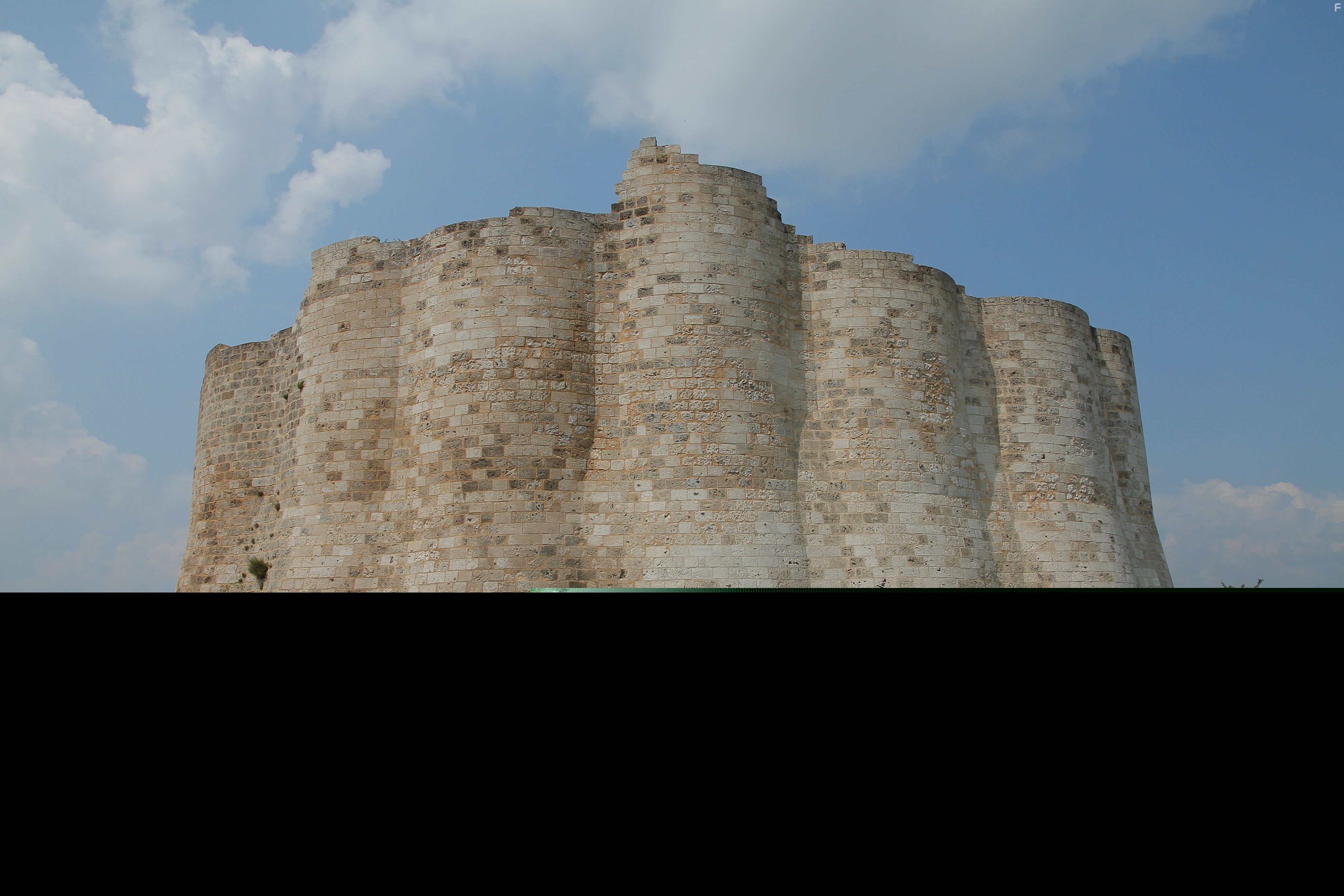 Battle Castle (2012)